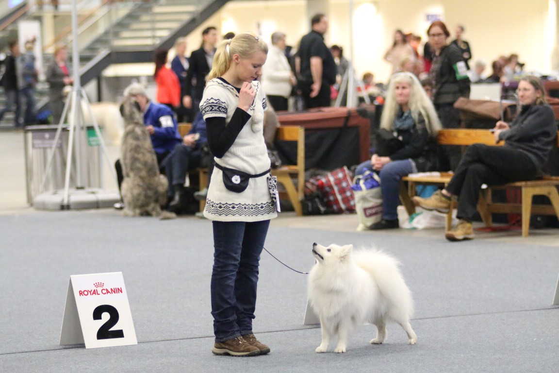 Voittajanäyttely 2014, 7.12.2014